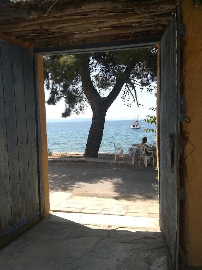 Yard Of Epicurus - η αυλή του επίκουρου Hébergement de vacances *