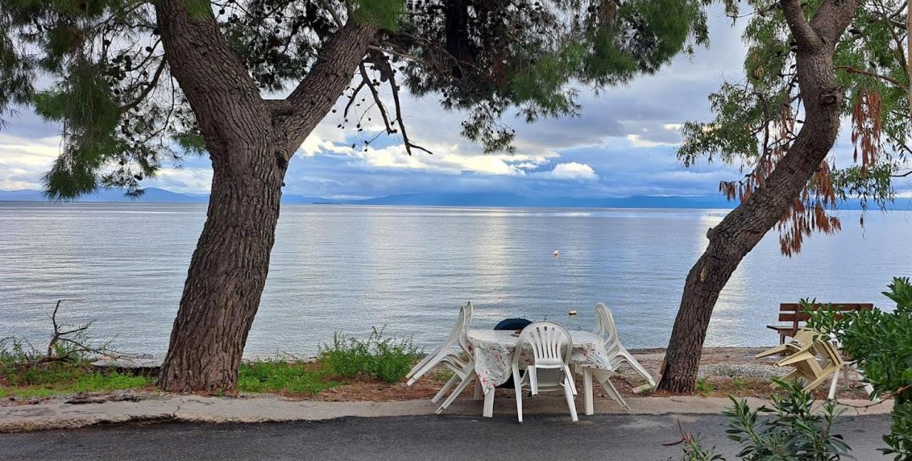 Hébergement de vacances Yard Of Epicurus - η αυλή του επίκουρου
