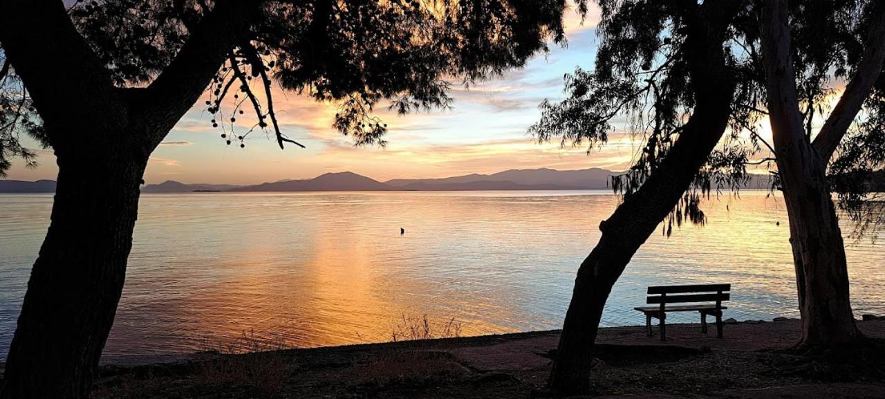 Yard Of Epicurus - η αυλή του επίκουρου Hébergement de vacances Kato Gatzea