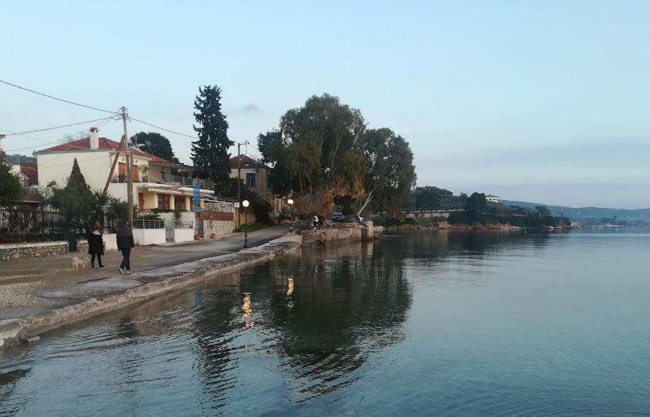 Yard Of Epicurus - η αυλή του επίκουρου Hébergement de vacances Kato Gatzea