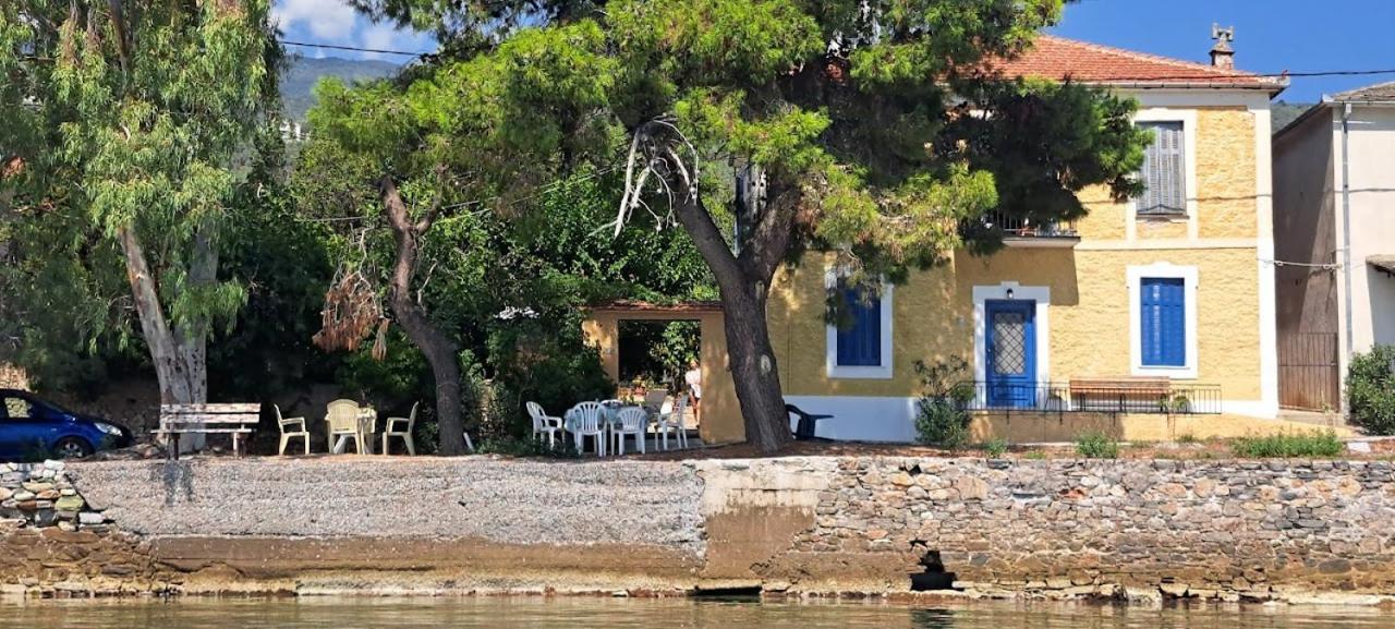 Hébergement de vacances Yard Of Epicurus - η αυλή του επίκουρου Kato Gatzea